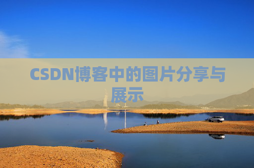 CSDN博客中的图片分享与展示